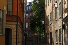 KONICA MINOLTA DIGITAL CAMERA