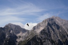 08.2025-fot.-Kaja-Jeske-87