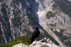 08.2025-fot.-Kaja-Jeske-88