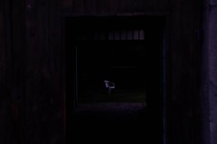 13.09-sosnowiec-fot.-Kaja-Jeske-4